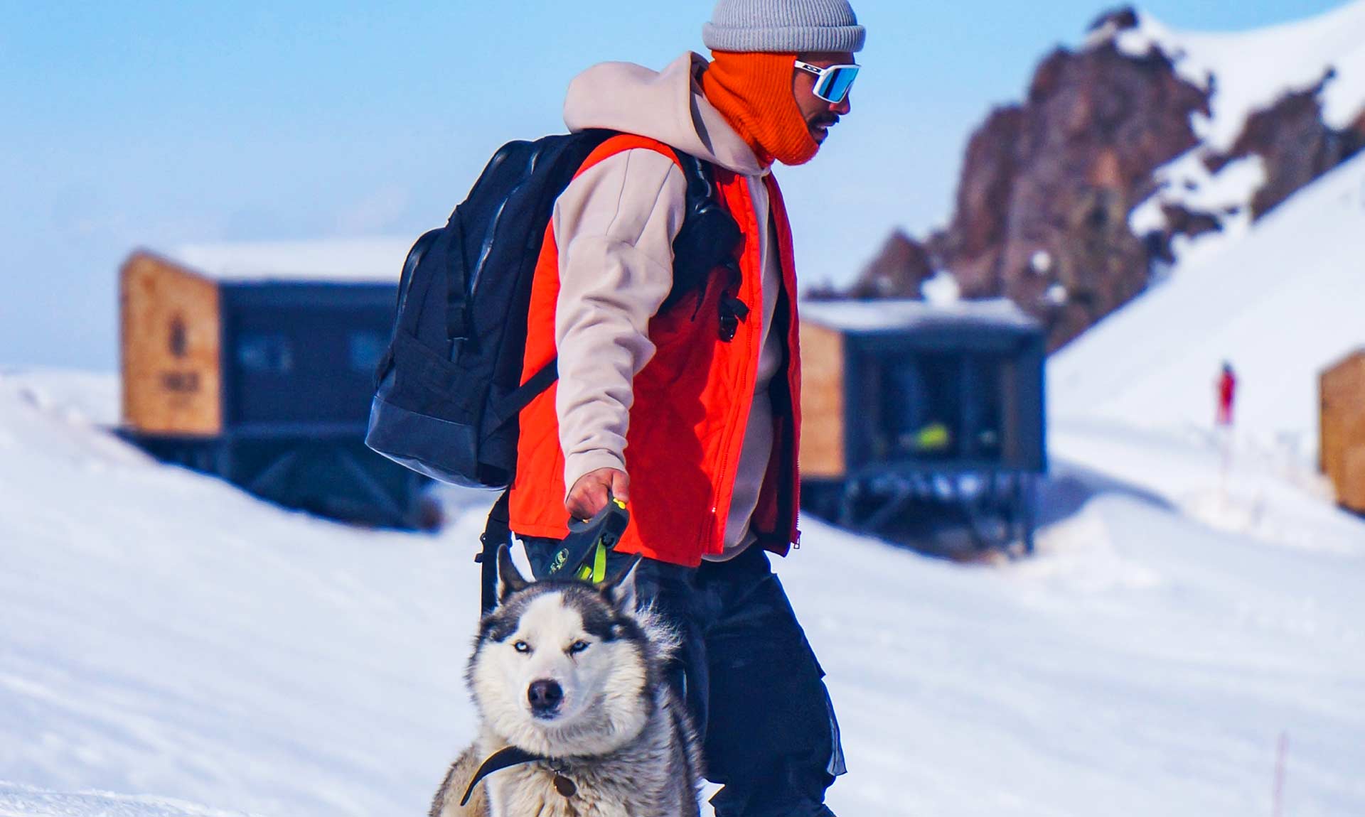 Person Walking Husky In The Snow